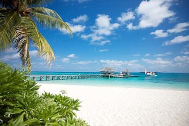 Une grande le entoure d'un lagon cristallin