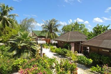 Dambulez dans ce superbe jardin tropical...