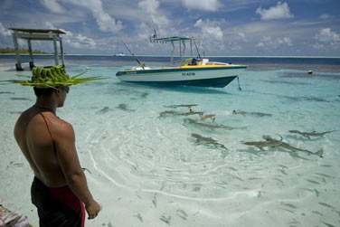 qui vous mmeneront  la dcouverte de leur atoll