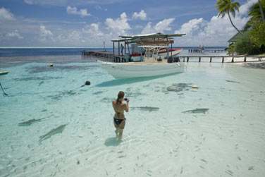 Ainsi vous apprendrez  vivre dans la pure tradition polynsienne