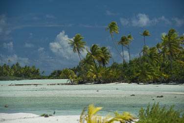 bord de plages de sable blanc ourles de vgtation tropicale