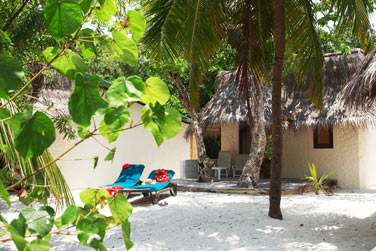 Extrieur du bungalow jardin enfoui dans la vgtation et dot d'une petite terrasse amnage