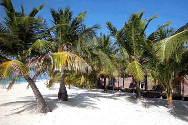 La vue extrieure des Villa plage avec bain  remous. Elles sont poses sur le sable  quelques mtres de la plage