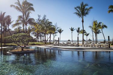 Lzardez au bord d'une vaste piscine