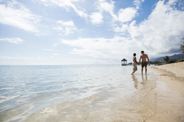 Situ entre plage de sable et domaine de Bel Ombre