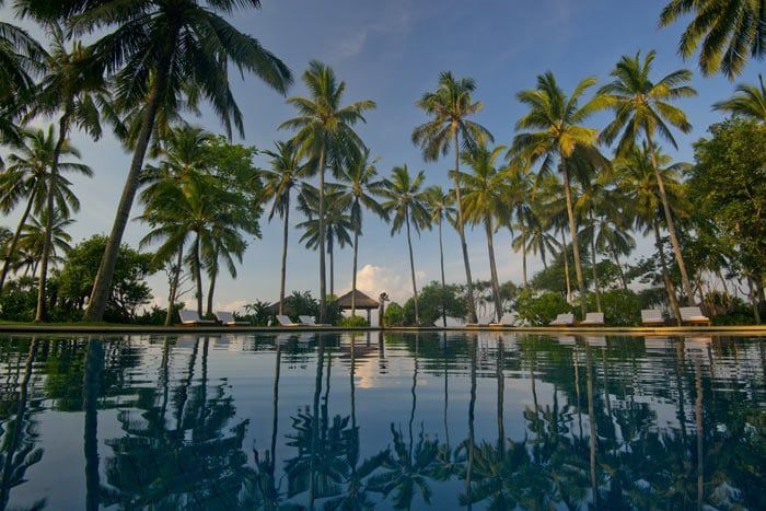 photo alila manggis