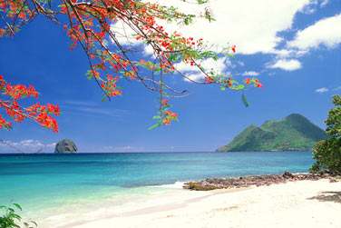 Bienvenue en Martinique !