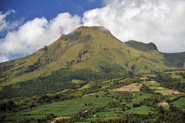 De la Montagne Pele aux Pitons du Carbet, vous dcouvrirez une nature d'exception