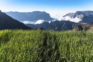 Bienvenue au coeur des montagnes d'Oman