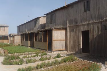 Une tape parfaite vers la plage aux tortues de Ras-al-Hadd, Wadi Bani Khalid et Wahiba Sands
