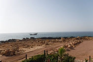 Des excursions sont organises de nuit ou  l'aube pour tre au plus prs de ces fascinantes tortues