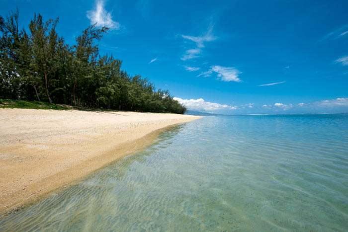 photo combin runion/mayotte - en pleine nature