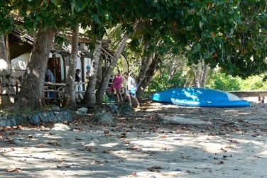 Le club de plonge vous accompagne dans la dcouverte de la faune marine