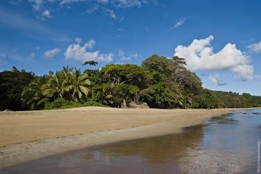 En plein coeur d'une vgtation luxuriante