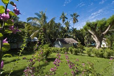 Les chambres sont niches en pleine verdure
