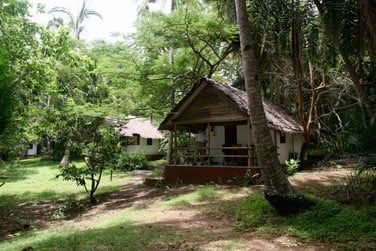 Vous tes en pleine nature