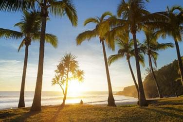 photo Combin Runion/Mayotte - En pleine nature Runion