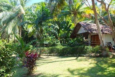 Cannelle, Vanille, Hibiscus...