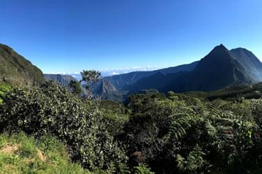 photo Combin Runion/Mayotte - En pleine nature Runion
