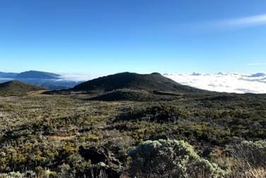 photo Combin Runion/Mayotte - En pleine nature Runion
