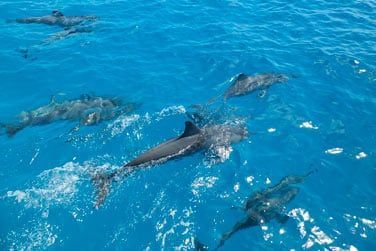 Un moment magique...