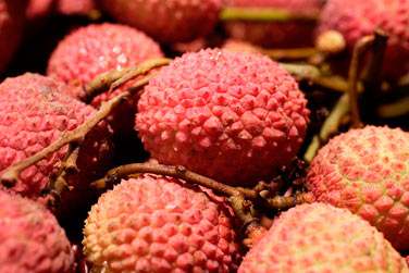 ... Ses fruits tropicaux, sa gastronomie exotique et varie !