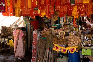 Profitez de votre sjour pour dcouvrir la culture mauricienne...