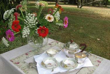 Pique-niquer ou prendre une tasse de th dans les spacieux jardins...
