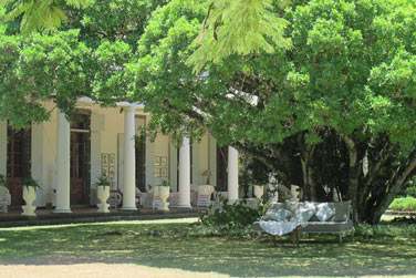 Vous pourrez vous reposer  l'ombre des arbres centenaires...