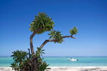 De magnifiques paysages de carte postale s'offrent  vous !