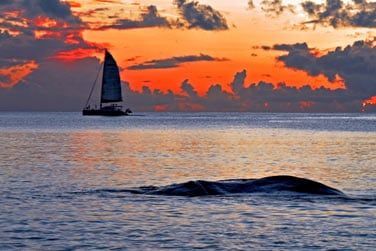 Passez un agrable sjour au Hanneman Holiday Residence...