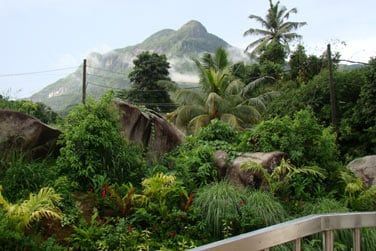 Profitez de cette vue merveilleuse sur la montagne...