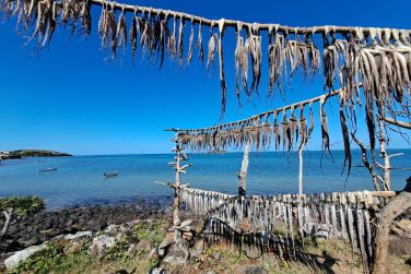 photo Combin Maurice / Rodrigues Autrement Rodrigues