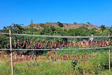 photo Combin Maurice / Rodrigues Autrement Rodrigues