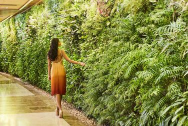 photo Sofitel The Palm Duba