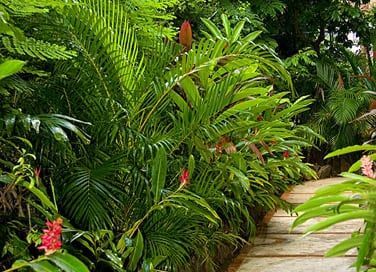 Au coeur d'un trs beau jardin