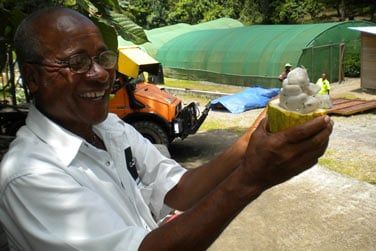 Fabrication du chocolat, depuis la fve de Cacao .. jusqu'aux dlices chocolats !