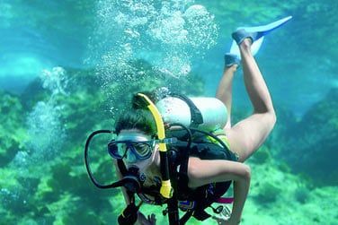 Les amateurs seront combls