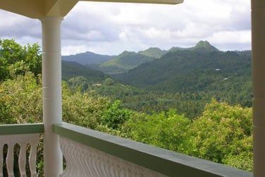 Vous tes dans un environnement naturel luxuriant