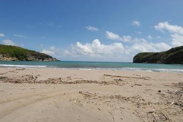 La cte Est est sauvage