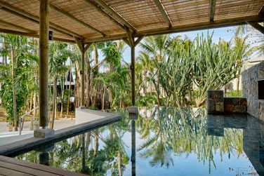 Situ au coeur d'un jardin luxuriant