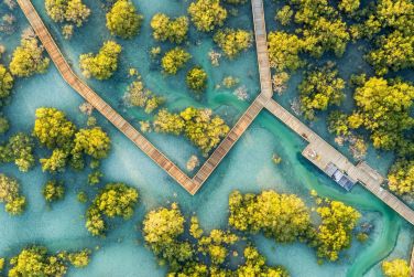 photo Combin Abu Dhabi / Seychelles - Trsors cachs Seychelles