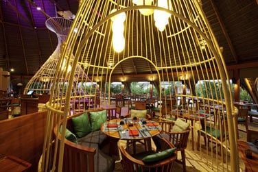 Cuisine Thai au menu!