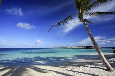 Dans un cadre absolument paradisiaque!