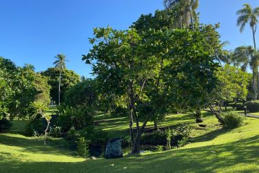 photo Royal Tahitien Polynsie