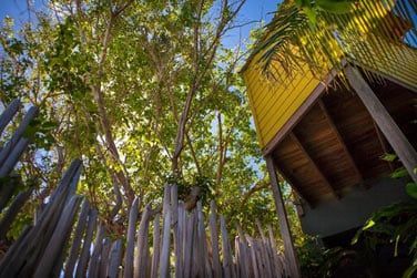 Les lodges se nichent au coeur d'un jardin tropical verdoyant