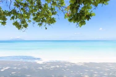 Il bnficie d'une situation idyllique