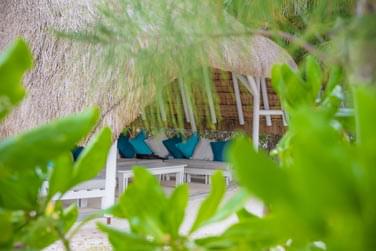 Se dtendre au cur d'une vgtation luxuriante