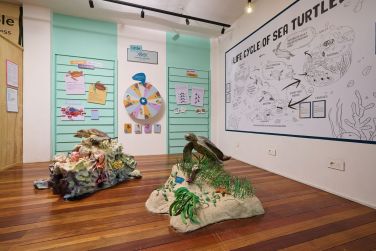 photo The Ravenala Attitude Ile Maurice