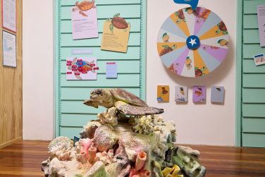 photo The Ravenala Attitude Ile Maurice